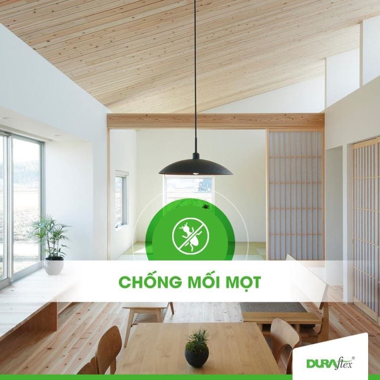 Chiều cao tầng lửng 04